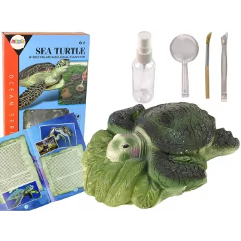 LEAN TOYS Ammonite Turtle Excavation Educational Kit