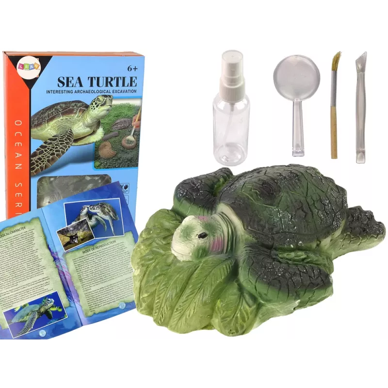 LEAN TOYS Ammonite Turtle Excavation Educational Kit