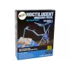 LEAN TOYS Archeologijos kasinėjimo rinkinys Dinozauro skeletas Pteranodonas 3D holograma