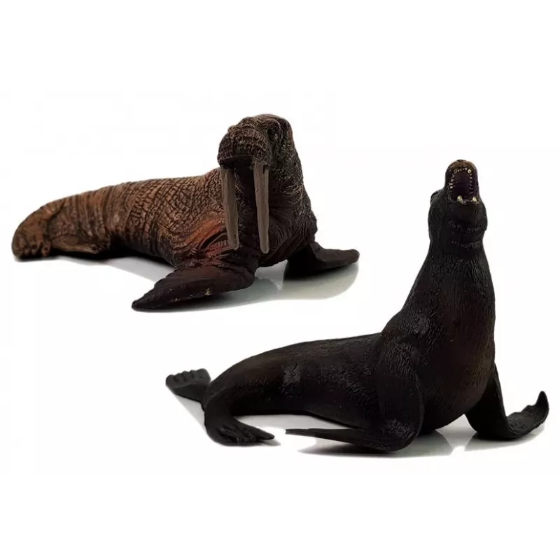 LEAN TOYS Educational Figurines Sea Animals 8 Pieces Sharks Seal Dolphin Walrus Turtle