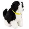 LEAN TOYS Interaktyvus pliušinis šuo minkštu kailiu Border Collie veislė