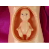 LEAN TOYS Nėščia kūdikio lėlė su ilgais plaukais ir aksesuarais