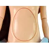 LEAN TOYS Pregnant Mom Baby Doll su atidaromu pilvuku ir mėlyna suknele 30 cm