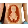 LEAN TOYS Pregnant Mom Baby Doll su atidaromu pilvuku ir mėlyna suknele 30 cm