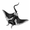 LEAN TOYS Stingray guminė figūrėlė, tampri, realistiška vandenyno žuvis 13 cm