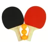 LEAN TOYS Wooden Ping Pong Sticks 3 Balls Cover