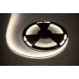 LED juosta 25m Rebel 300x5050 SMD Neutrali balta Vandeniui atspari 12V