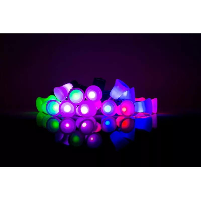 LED girlianda su varpeliais, 20 šiltų baltų LED, 2,5 m, maitinama baterijomis, auksinė