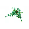 LEGO BOTANICALS 11512 Kabanti Drakono Gebenė Konstravimo Rinkinys