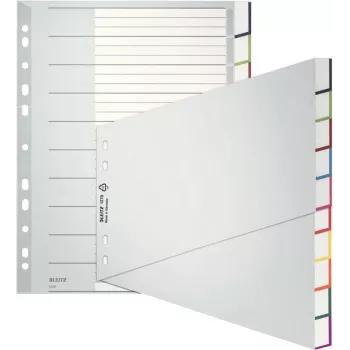 Leitz A4 tušti skirtukai, polipropilenas, pilki, 10 dalių, universalus perforavimas 1270