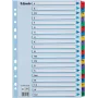 LEITZ A4 Mylar A-Z registro skirtukai, 26 skirtukai, įvairiaspalviai, universalus perforavimas, 160 gsm, 1 rinkinys (100167)