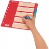 LEITZ kartoniniai skyrikliai, tušti skirtukai, A4, 5 dalių, įvairiaspalviai, 160 gsm, su raudonu rašomu viršeliu 250 gsm (4386-60-00)