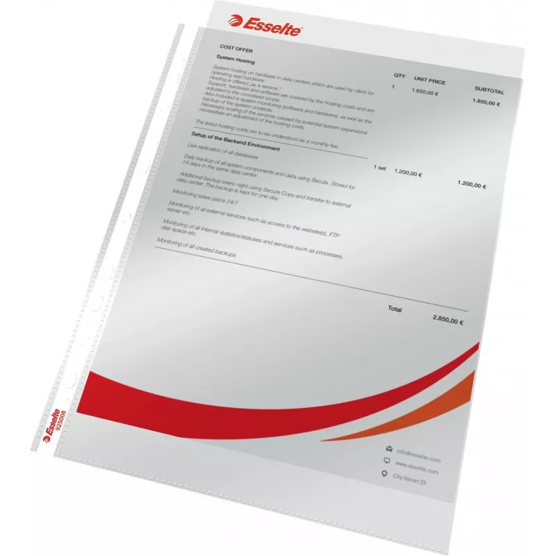 LEITZ Esselte standartinis dokumentų įmautė A4, polipropilenas, skaidri kaip krištolas, 0,06 mm, atidaroma iš viršaus, saugi dokumentams, daugiausia skylučių, sustiprintas kraštas, 100 vienetų paketas (925008)