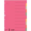 LEITZ itin tvirti kartoniniai registro skirtukai, tušti skirtukai, A4, 10 dalių, įvairiaspalviai, 230 gsm, 5 spalvų per visą storį dažytas kartonas (4359-00-00)