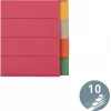 LEITZ itin tvirti kartoniniai registro skirtukai, tušti skirtukai, A4, 10 dalių, įvairiaspalviai, 230 gsm, 5 spalvų per visą storį dažytas kartonas (4359-00-00)