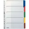 LEITZ Mylar kartoniniai skyrikliai, tušti, A4, 5 dalių, pilki skirtukai, 160 gsm, su rašomu viršelio lapu 4320-00-00