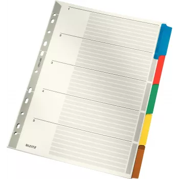 LEITZ Mylar kartoniniai skyrikliai, tušti, A4, 5 dalių, pilki skirtukai, 160 gsm, su rašomu viršelio lapu 4320-00-00