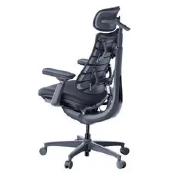 LiberNovo Omni ergonominė biuro kėdė su aktyviu atlošu ir masažo funkcija, juoda