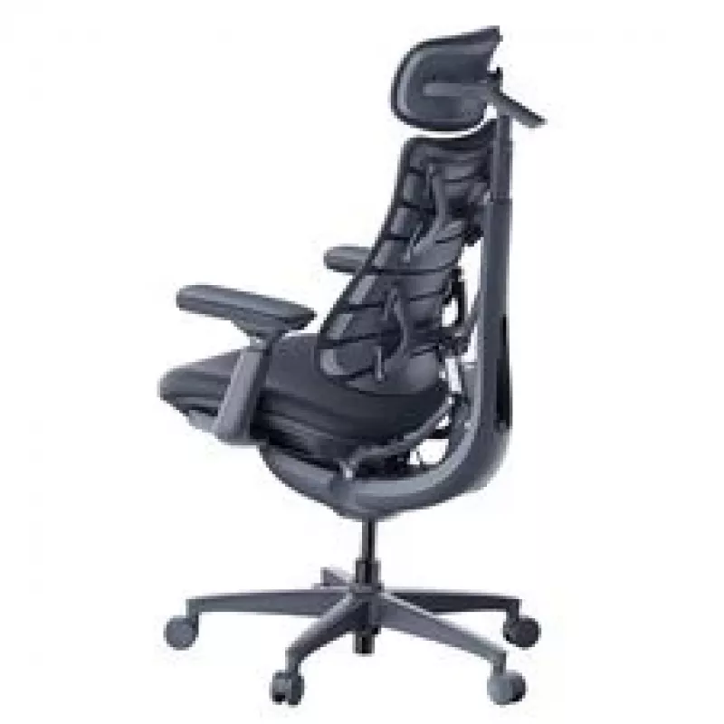 LiberNovo Omni ergonominė biuro kėdė su aktyviu atlošu ir masažo funkcija, juoda