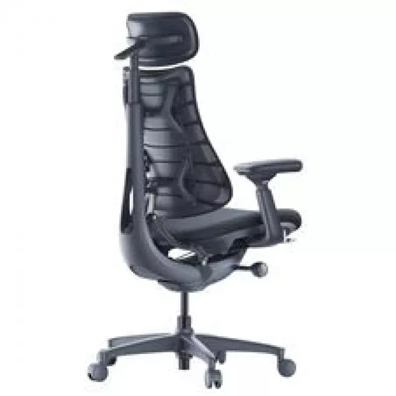 LiberNovo Omni ergonominė biuro kėdė su aktyviu atlošu ir masažo funkcija, juoda