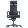 LiberNovo Omni ergonominė biuro kėdė su aktyviu atlošu ir masažo funkcija, juoda