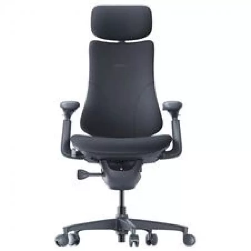 LiberNovo Omni ergonominė biuro kėdė su aktyviu atlošu ir masažo funkcija, juoda