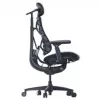LiberNovo Omni ergonominė biuro kėdė su aktyviu atlošu ir masažo funkcija, juoda