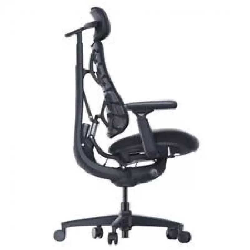 LiberNovo Omni ergonominė biuro kėdė su aktyviu atlošu ir masažo funkcija, juoda