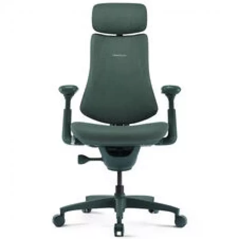 LiberNovo Omni ergonominė biuro kėdė su aktyvia juosmens atrama ir masažu - žalia