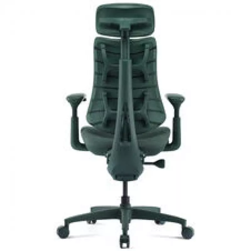 LiberNovo Omni ergonominė biuro kėdė su aktyvia juosmens atrama ir masažu - žalia