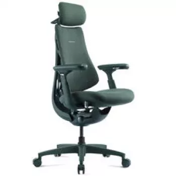 LiberNovo Omni ergonominė biuro kėdė su aktyvia juosmens atrama ir masažu - žalia