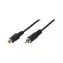 LogiLink Audio ilginamasis kabelis RCA kištukas į RCA lizdą, 10 m, juodas
