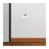 LogiLink Keystone dangtelis 2 moduliams, išsikišęs, UP/50, balta