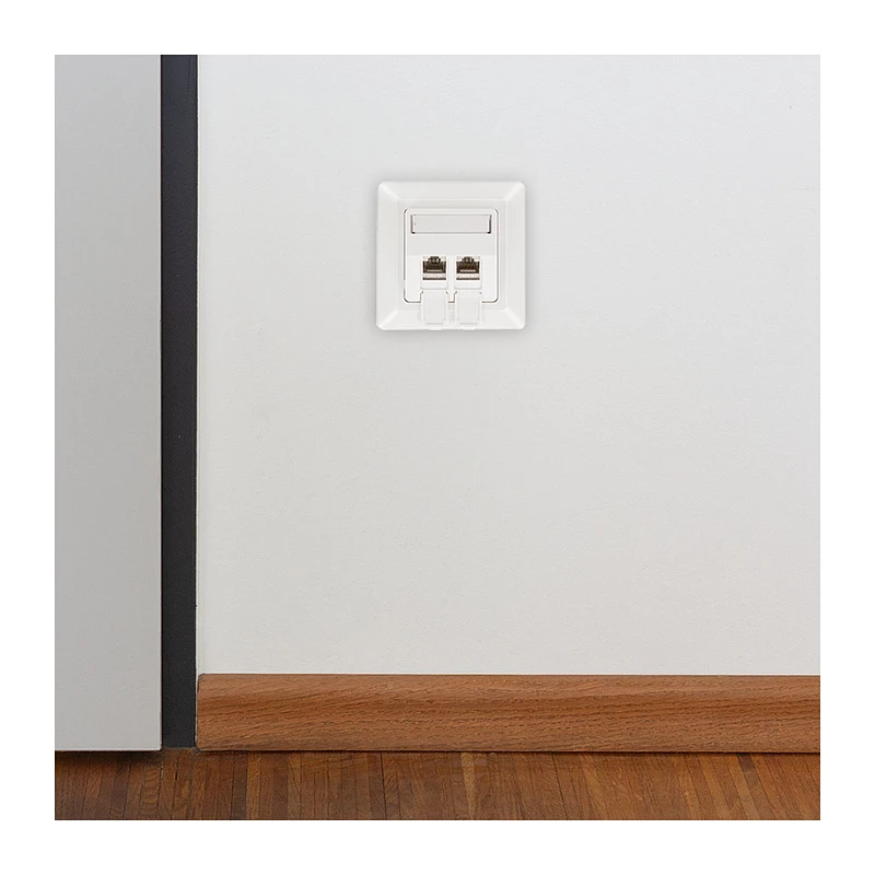 LogiLink Keystone dangtelis 2 moduliams, išsikišęs, UP/50, balta