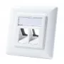 LogiLink NK4020 Keystone sieninė plokštė, įleidžiama, 2 moduliai, signalinė balta