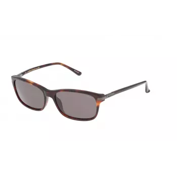 LOZZA SL4029M564APP Unisex akiniai nuo saulės - 56/16/140 mm - UV400 apsauga
