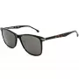 LOZZA SL4162M-0786 Vyriški akiniai nuo saulės - Havana acetato rėmelis, rudi polikarbonatiniai lęšiai, UV400 apsauga, 58/18/140 mm