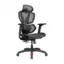 LUMIVIDA PREMIUM Ergonominė biuro kėdė su galvos ir juosmens atrama, 3D reguliuojamomis porankiais - juoda