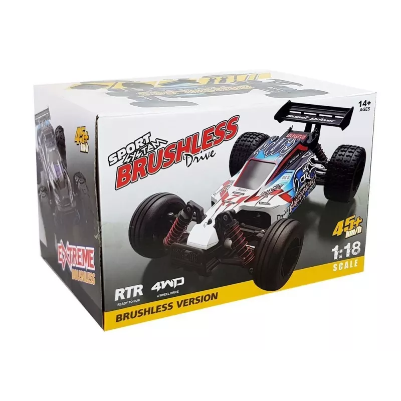 MAISTO nuotoliniu valdymu varžybinis automobilis 1:18