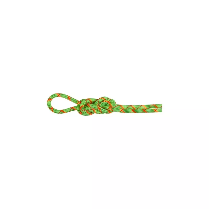 Mammut Virve 8.0 Alpine Core Protect Dry Rope 50 m