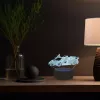 Manta SNL64RGB LED lempa, dekoratyvinis apšvietimas automobiliui, 3D RGB