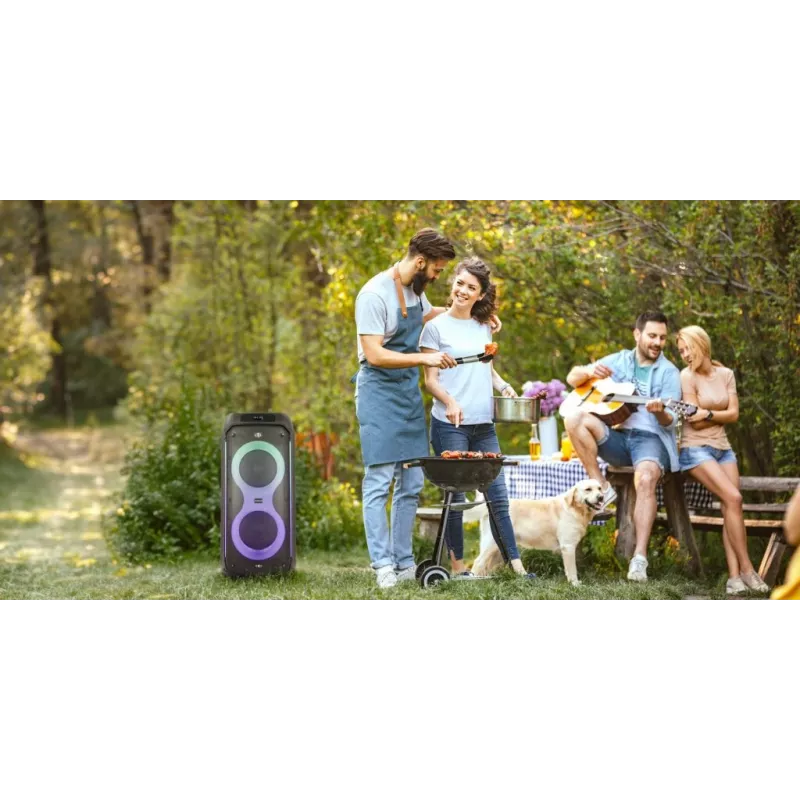 Manta SPK0805B140 Pallas nešiojamas Bluetooth garsiakalbis, 15W, juodas