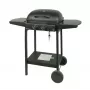 MASTER GRILL Master Dujinė Kepsninė 2 Degikliai MG672