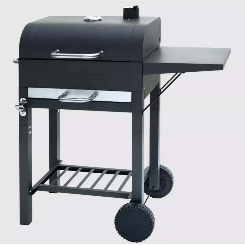 MASTER GRILL Stačiakampis anglinis kepsninė su dangčiu MG924