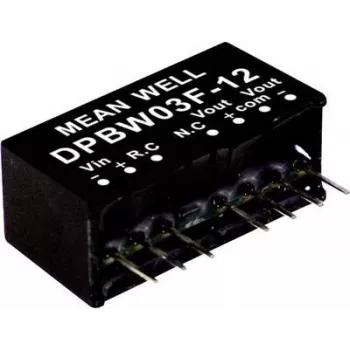 MEAN WELL DPBW03G-15 DC-DC keitiklis, 3W, 15V 200mA, 9-18V įėjimas, DIP24, izoliuotas