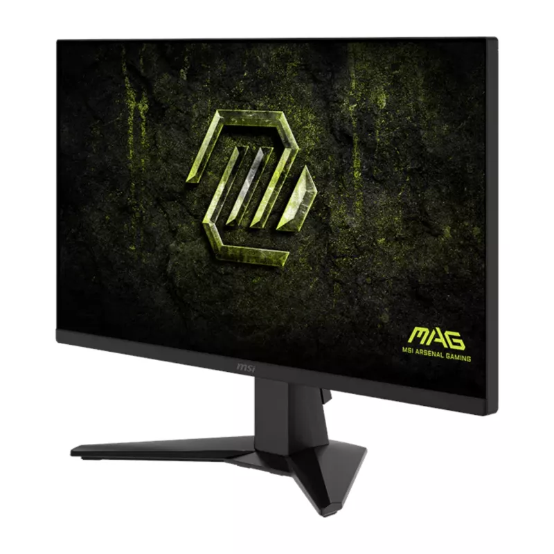 MSI MAG 255F X24 25 inch FHD 240Hz IPS žaidimų monitorius