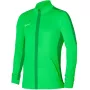 Nike Dri-FIT Academy 23 vyriškas megztinis tamsiai žalias L