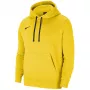 Nike Park 20 džemperis su gobtuvu University Gold/Juoda CW6957 719