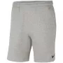 Nike Park 20 vyriški šortai tamsiai pilki heather XL