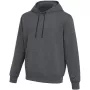 Nike Park 26 Fleece vyriškas gobtuvas tamsiai pilkas Heather XS